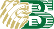 Borica logo